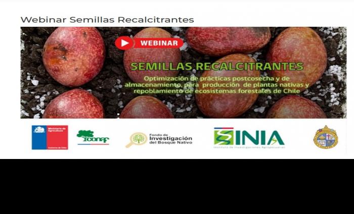 Invitacin Webinar