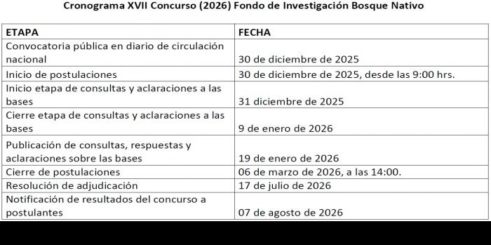 Cronograma XVII Concurso