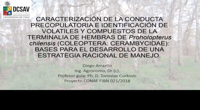 Presentación examen Doctoral