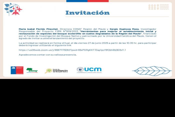 lanzamiento