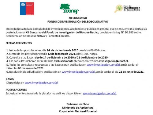 Recordamos a toda la comunidad de investigadores, académicos y público en general que se encuentran abiertas las postulaciones al XII Concurso del Fondo de Investigación del Bosque Nativo, previsto en la Ley N° 20.283 sobre Recuperación del Bosque Nativo y Fomento Forestal.